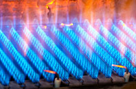 Trottick gas fired boilers